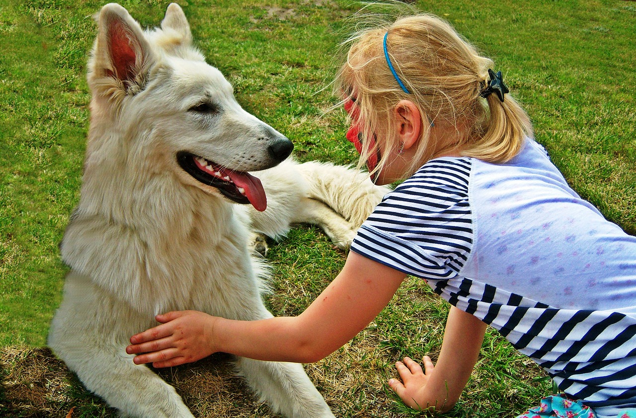 Pies i dziecko – jak dobrać psa do rodziny?